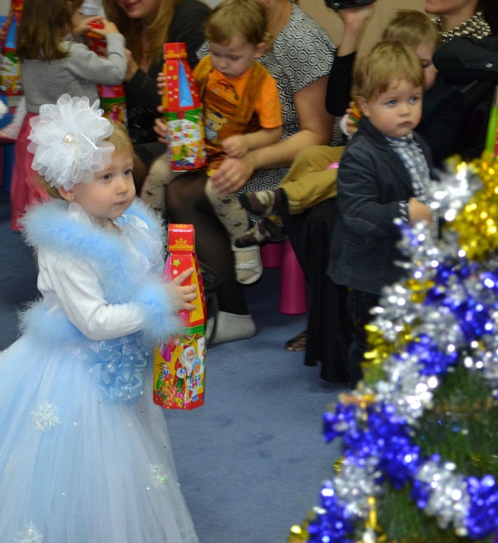 Новый год 2013-14