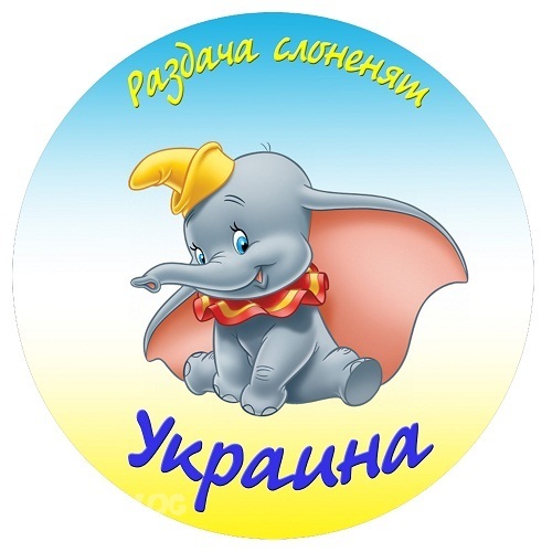 стартовал 25 розыграш слонят