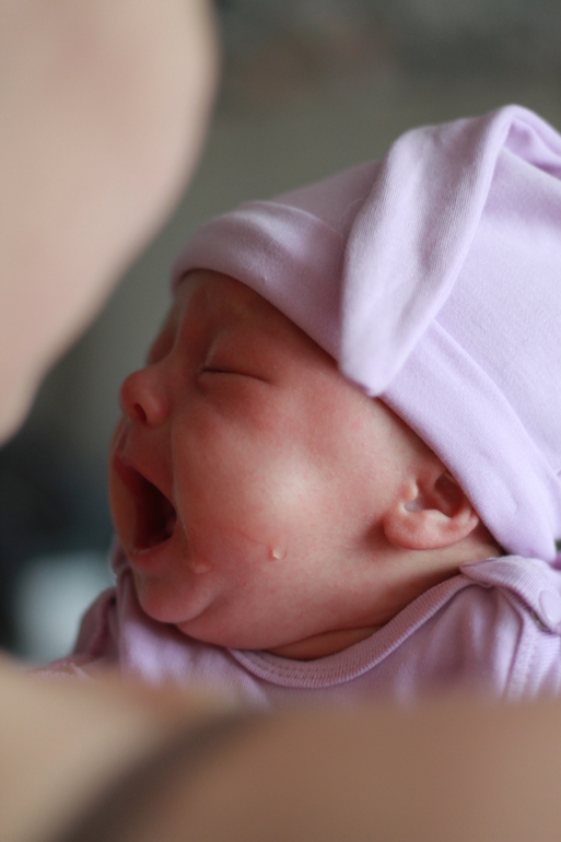 Хронология нашего первого года