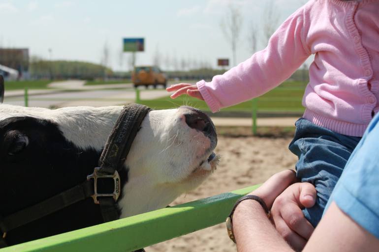 Наше первомайское_Конный парк РУСЬ