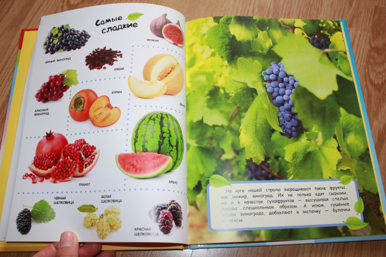 Мир в картинках