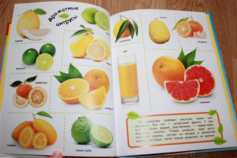 Мир в картинках