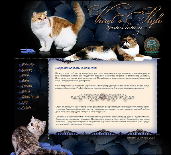 Создание сайтов