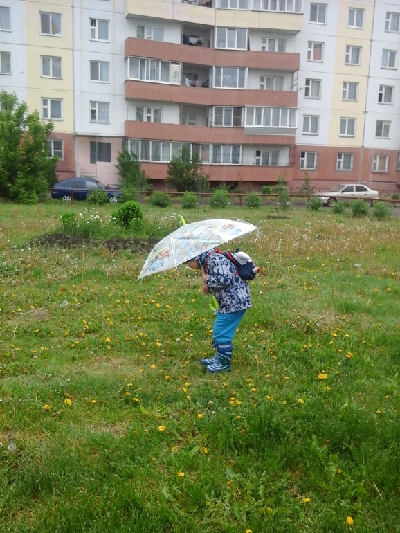 «Яркое лето»