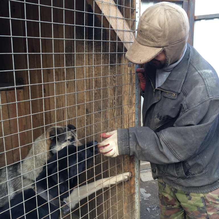 SOS!СРОЧНО ИЩЕМ ХОЗЯИНА!Подарите Хатико(Серому) ДОМ!ПОМОЖЕМ ВСЕМ МИРОМ!Нужен перепост!