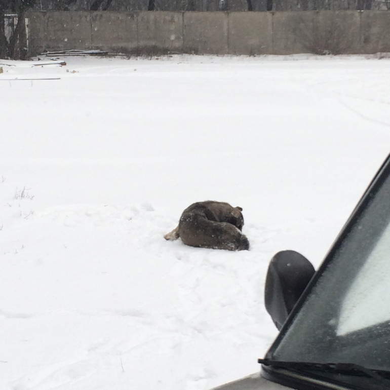 СОС!МОСКВА,ОТЗОВИСЬ!ПОБЕДА!!!ОПЕРАЦИЯ СПАСЕНИЯ ЗАВЕРШЕНА!НО ПОМОЩЬ ЕЩЕ НУЖНА!!!