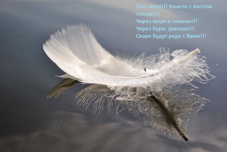 Мое перышко, первый привет от аиста!!!