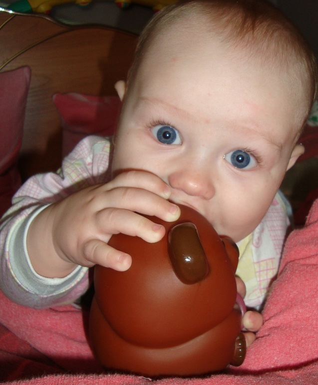 Любите ли вы Винни-Пуха, как любим его мы?