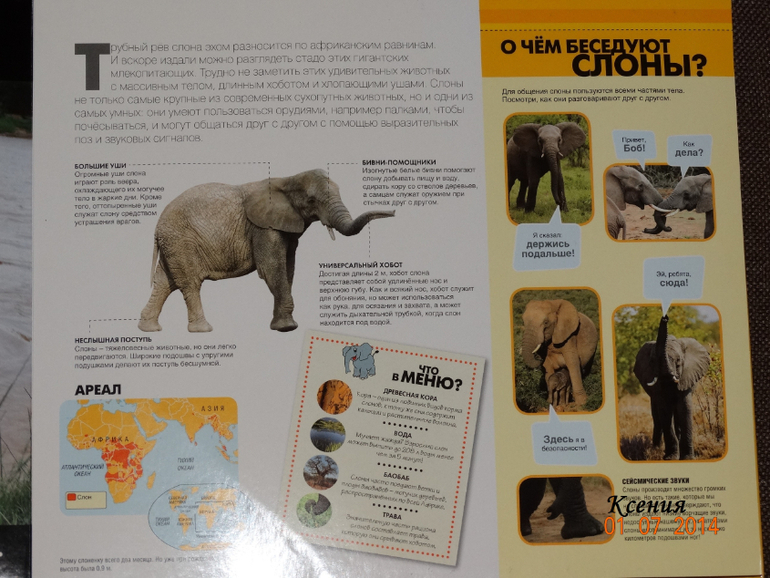 Дикие животные. Серия