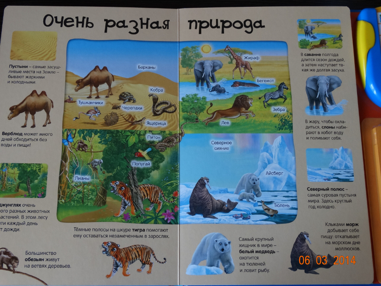 100 волшебных звуков планеты