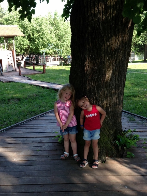 Лето в городе