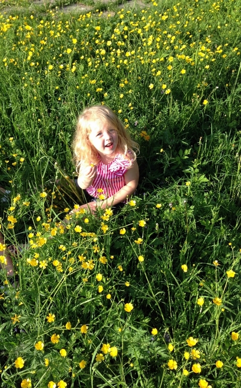 Лето в городе