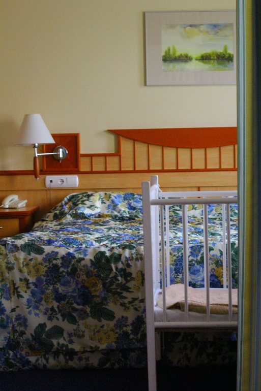 О Будапеште, вступление)