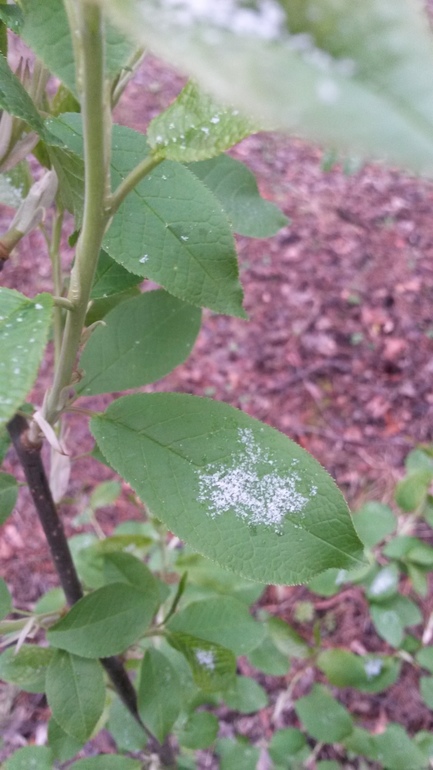 У природы нет плохой погоды....мда