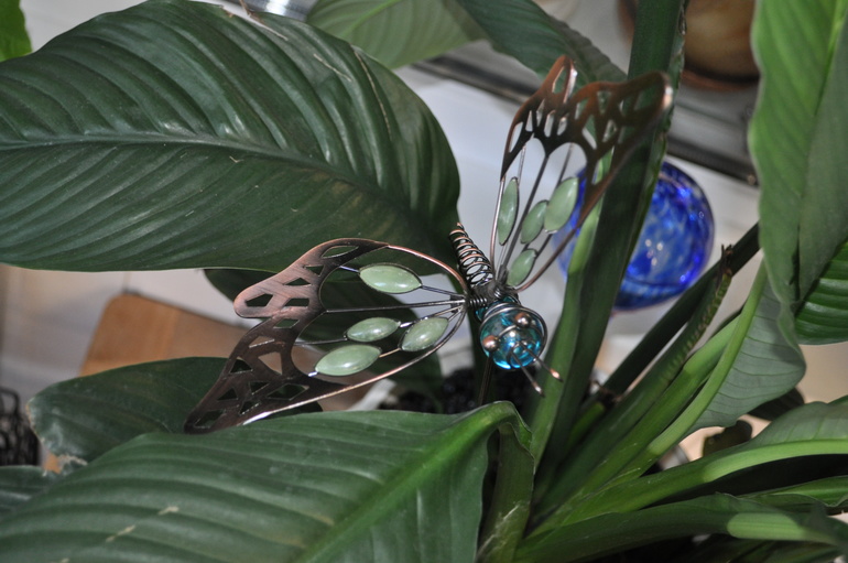 Обновочки:)