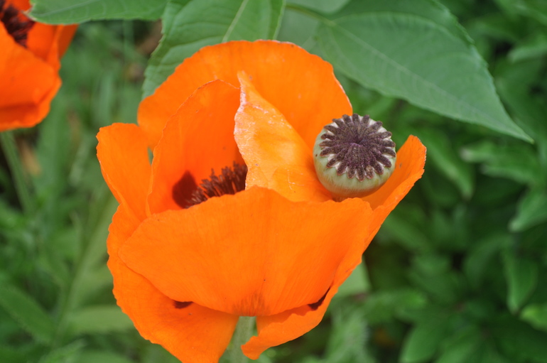 Для хорошего настроения:)