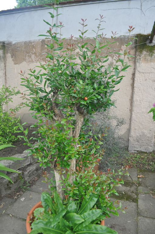 Для хорошего настроения:)