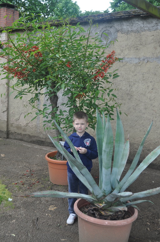 Для хорошего настроения:)