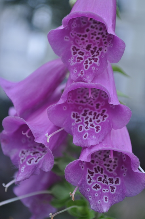 Для хорошего настроения:)