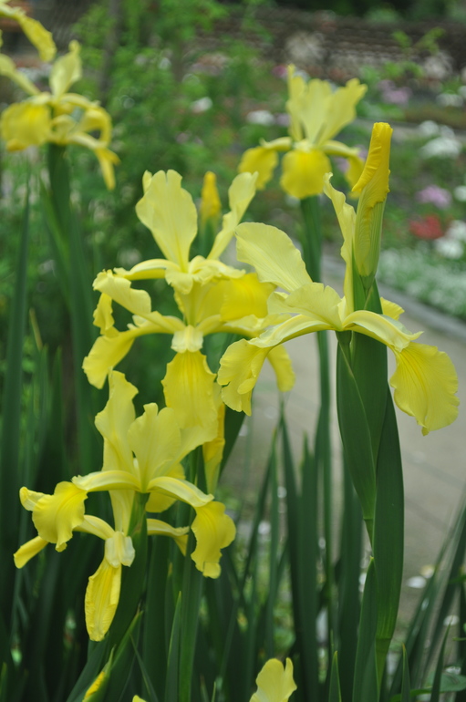 Для хорошего настроения:)