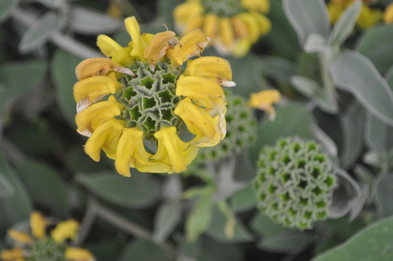 Для хорошего настроения:)