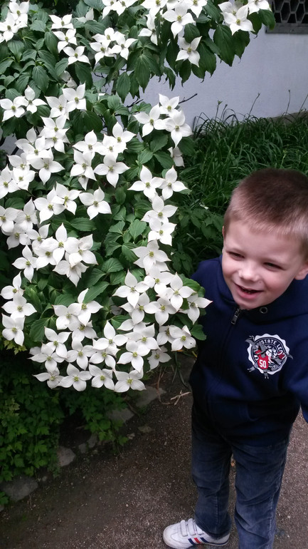 Для хорошего настроения:)