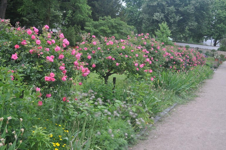 Для хорошего настроения:)