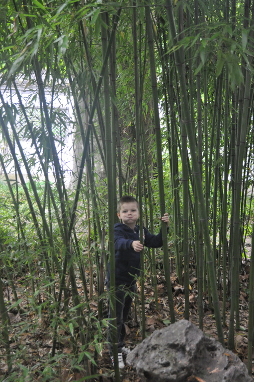 Для хорошего настроения:)