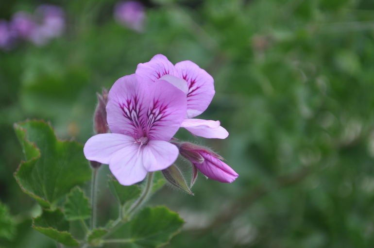 Для хорошего настроения:)
