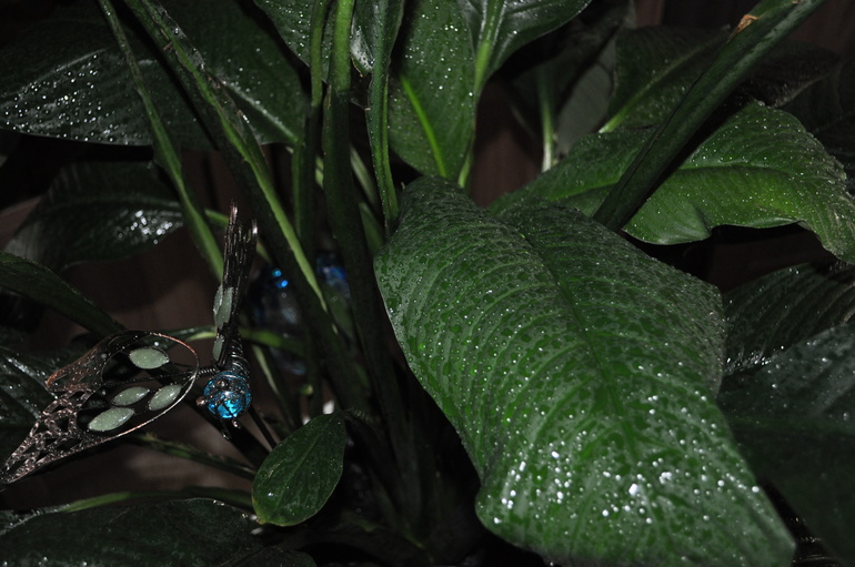 Что мы имеем на сегодняшний день:)