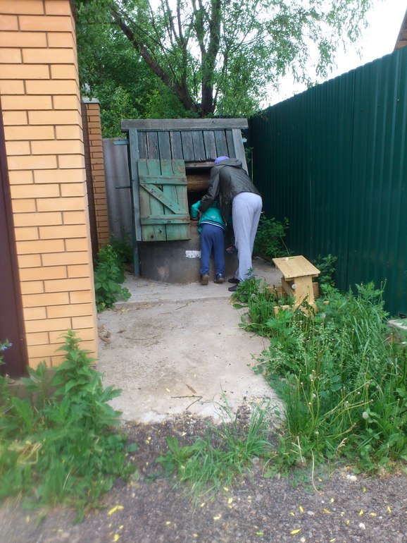 День дачника