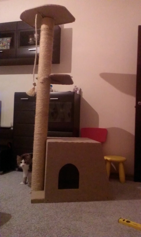 Когтеточка)))