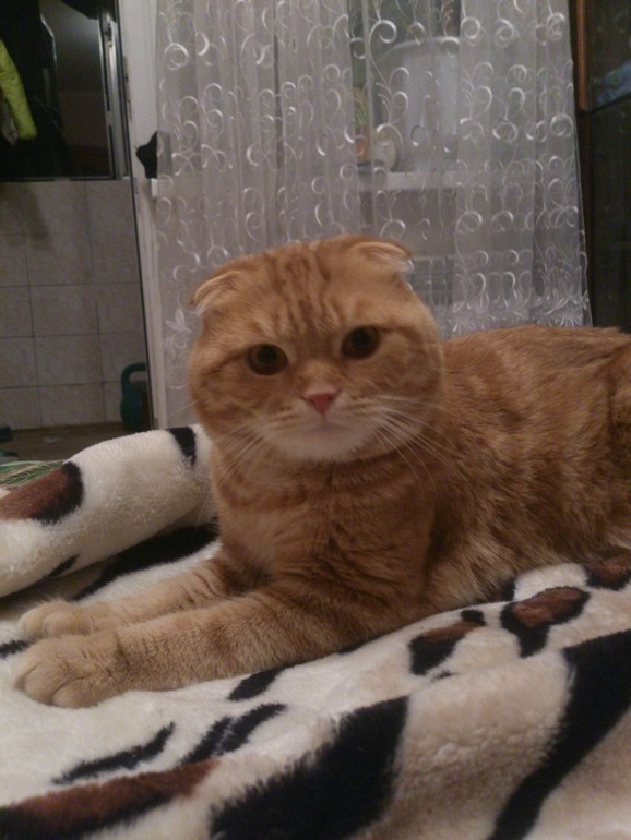 посоветуйте!