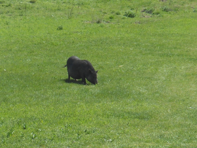 Крым моими глазами (семейные фото)