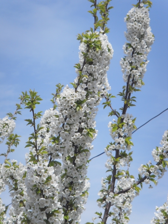 Крым моими глазами (семейные фото)