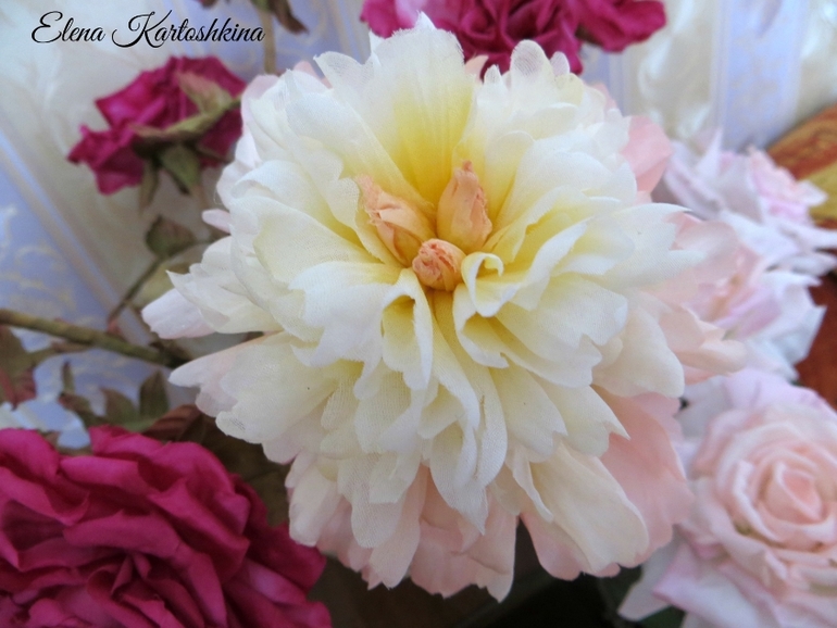 Интерьерный Пион древовидный.