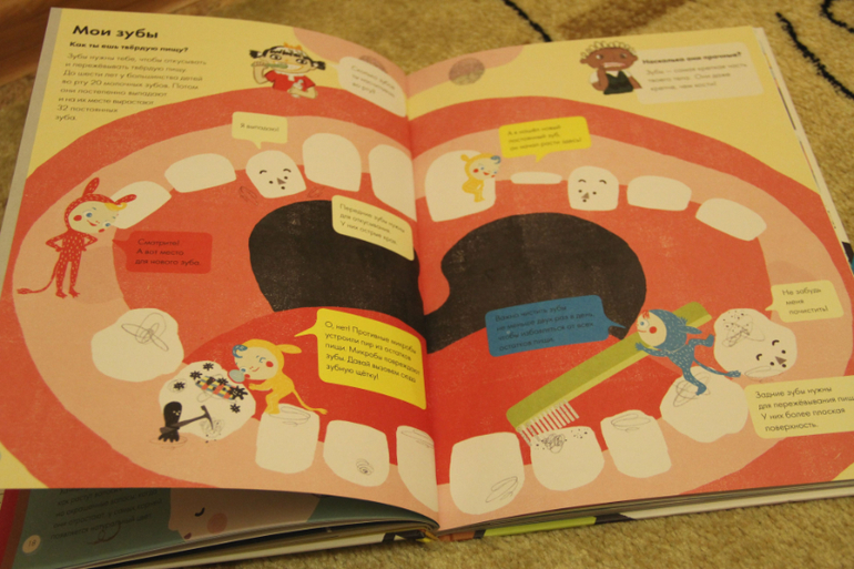 Мое тело от макушки до пяток