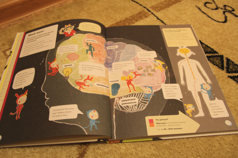 Мое тело от макушки до пяток