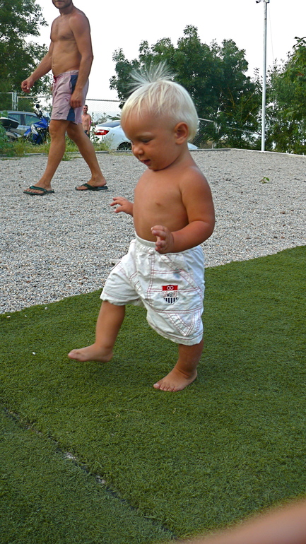 Санджи здесь почти годик