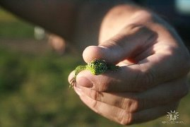 73.11 Вдохновлялочки