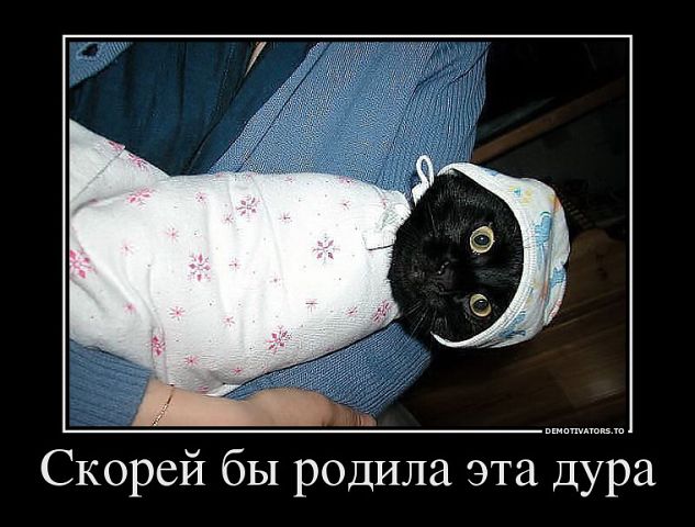 Немного юмора или хочется поддержать!