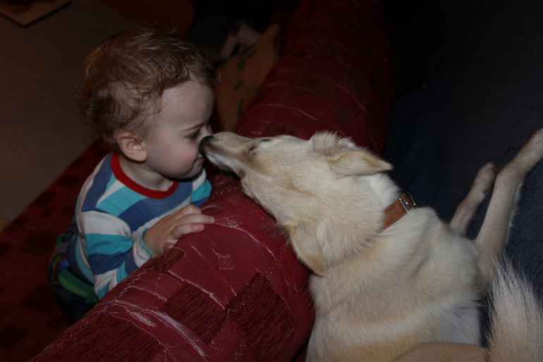 Смешинки ) Лиськины 2и3 .2 часть .