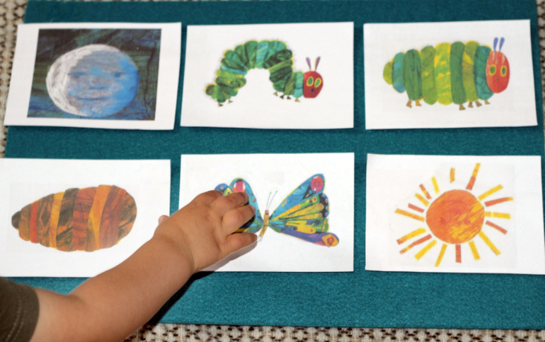 Про самую знаменитую гусеницу в мире!