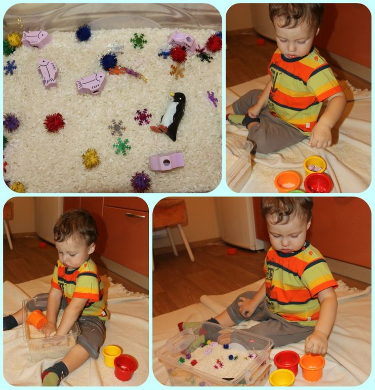 ТН Арктика и Антарктика. День 2 - животные Антарктиды