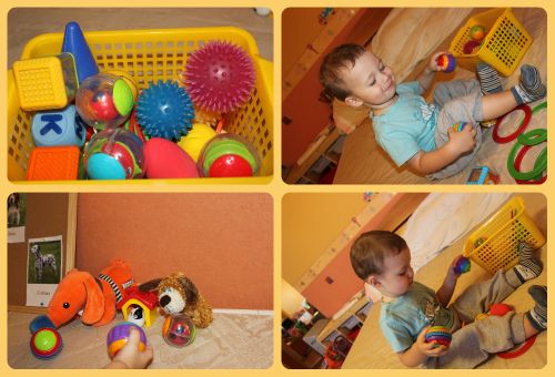 ТН Домашние животные, день 4 - Собака