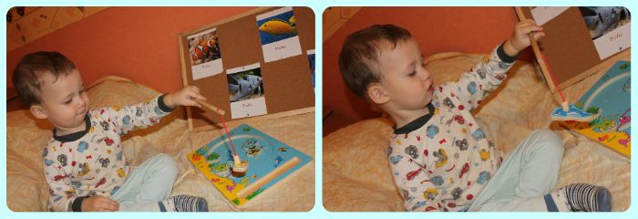 ТН Домашние животные, день 3 - Рыбки