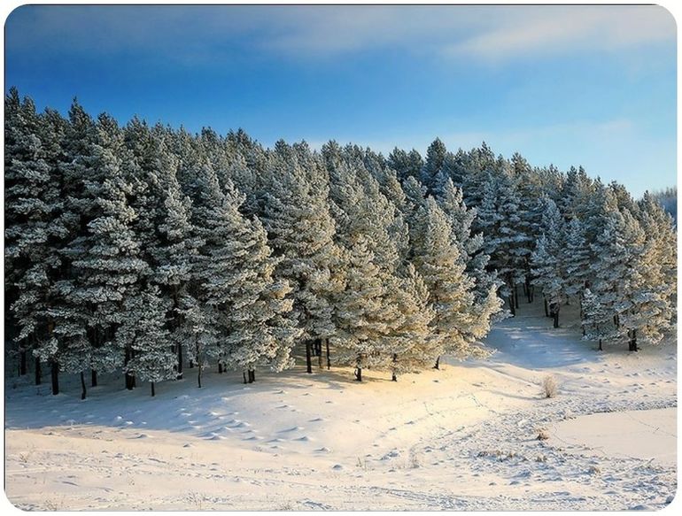 ТН Встречаем зиму. День 1