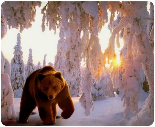 ТН Встречаем зиму. День 3