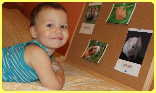 ТН Домашние животные, день 5 - Мыши и хомячки