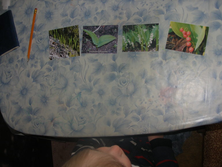 Наши ландыши